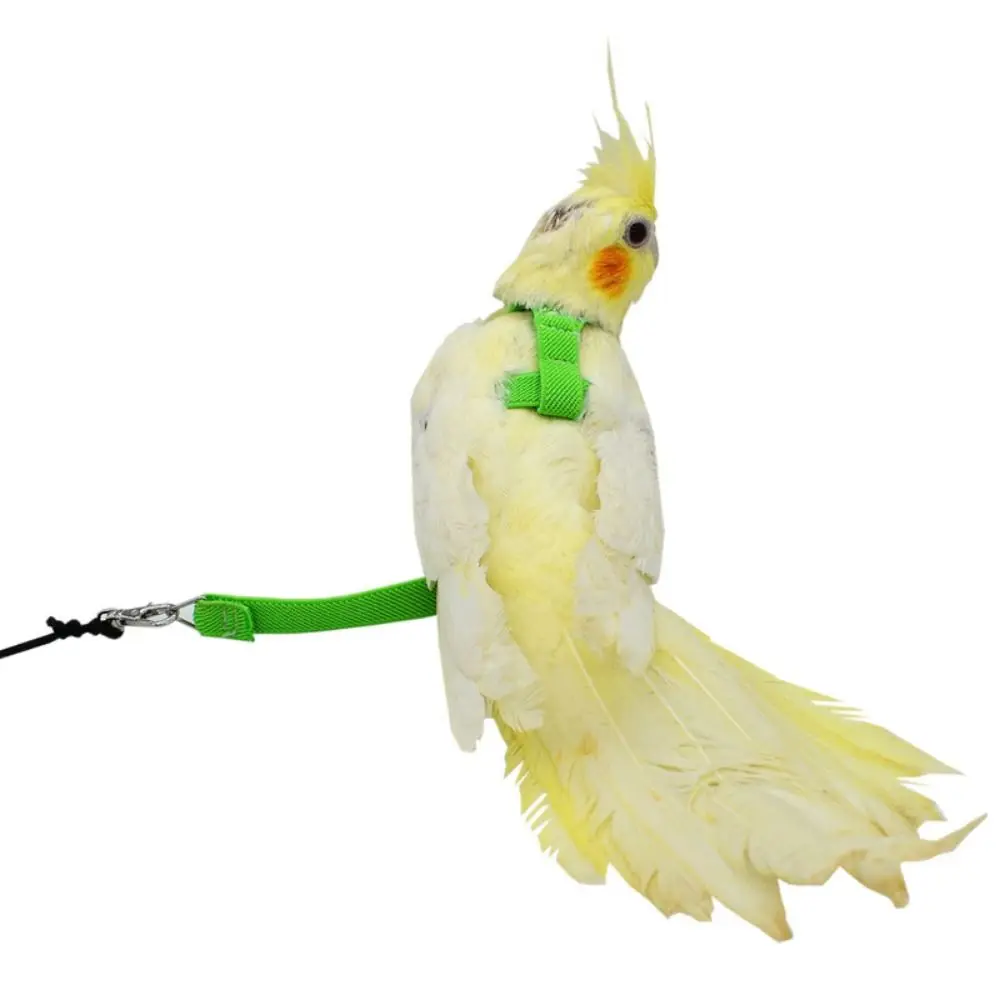  Регулируемая шлейка попугая и поводок Устойчивая к укусам латексная проволока / нейлон Птица Летающая тяга Ремни Ремень Стиль Ходячая Птица Веревка 3