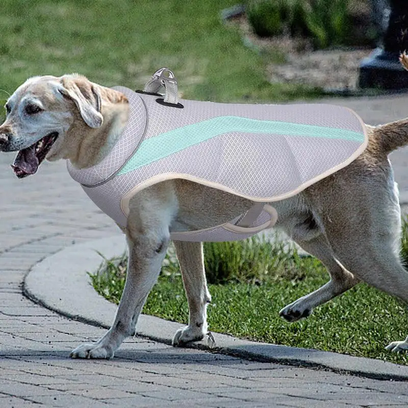  Собака Охлаждение Пальто Летняя Охлаждающая Куртка Для Собак Портативная Дышащая Летняя Куртка Для Охлаждения Домашних Животных Безрукавка Собака Охлаждение Для T 4
