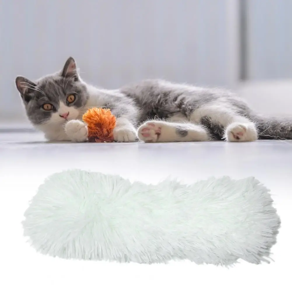 Домашние животные Плюшевые игрушки Легкий котенок Кошка Плюшевая подушка Игрушка Мягкая кошачья подушка 2