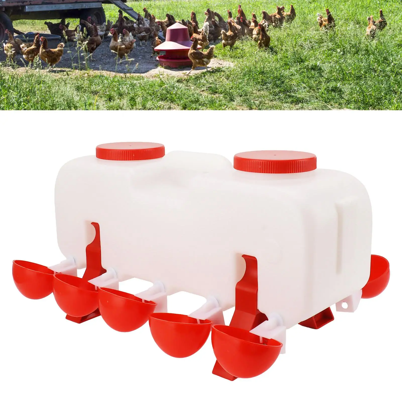 10L Автоматическая поилка для кур - полуавтоматический диспенсер для воды для птицы, аксессуары для курятника для уток и гусей 3