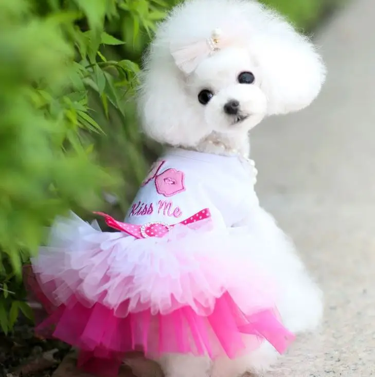 Горячее летнее кружевное пышное платье принцессы Одежда для собак с принтом фруктовый хлопок платье для маленьких средних собак одежда чихуахуа свадебная юбка 4