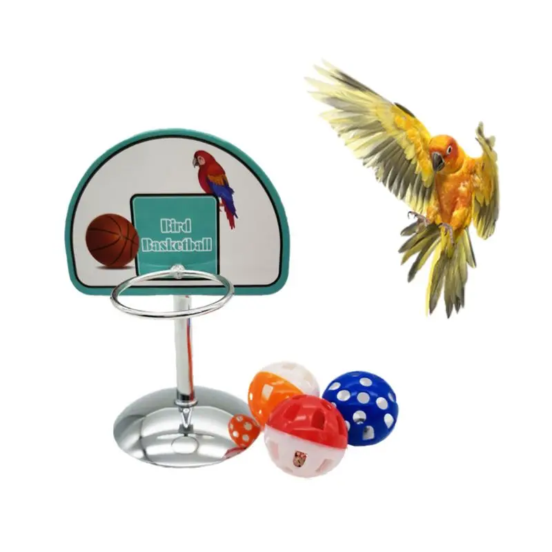 2022 Новый домашний попугай Баскетбольное кольцо Реквизит Попугай Колокольчики Мячи Головоломка Игра Жевать Играть Игрушки 4
