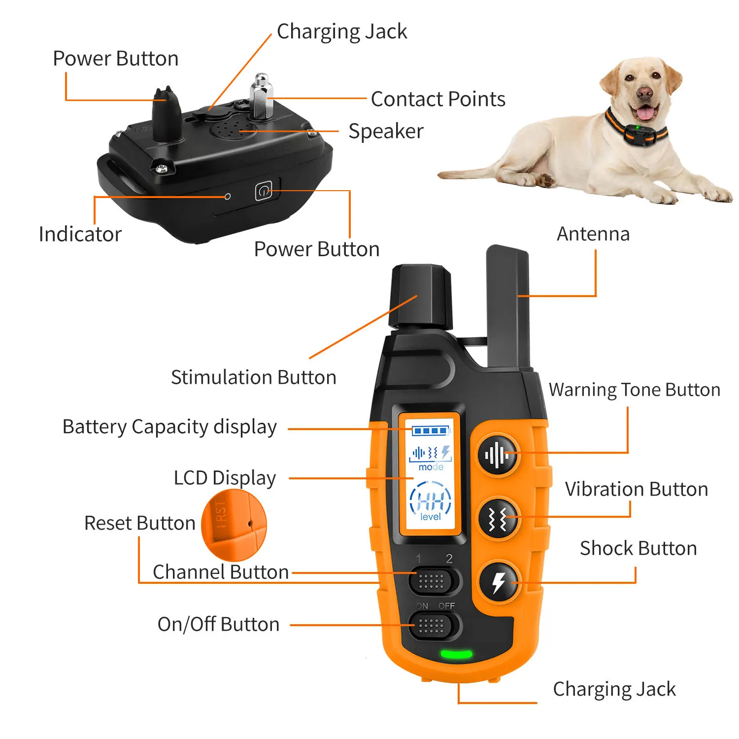 3300Ft Электрический ошейник для дрессировки собак с дистанционным управлением Водонепроницаемое поведение домашних животныхДля щенка весом 5-120 фунтов с ударной вибрацией 5