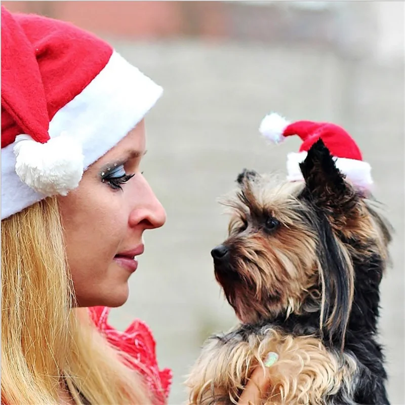 Рождественская шапка Аксессуары для собак Игрушки для кошек Косплей Рождественские украшения Ликвидация Одежда для собак 1