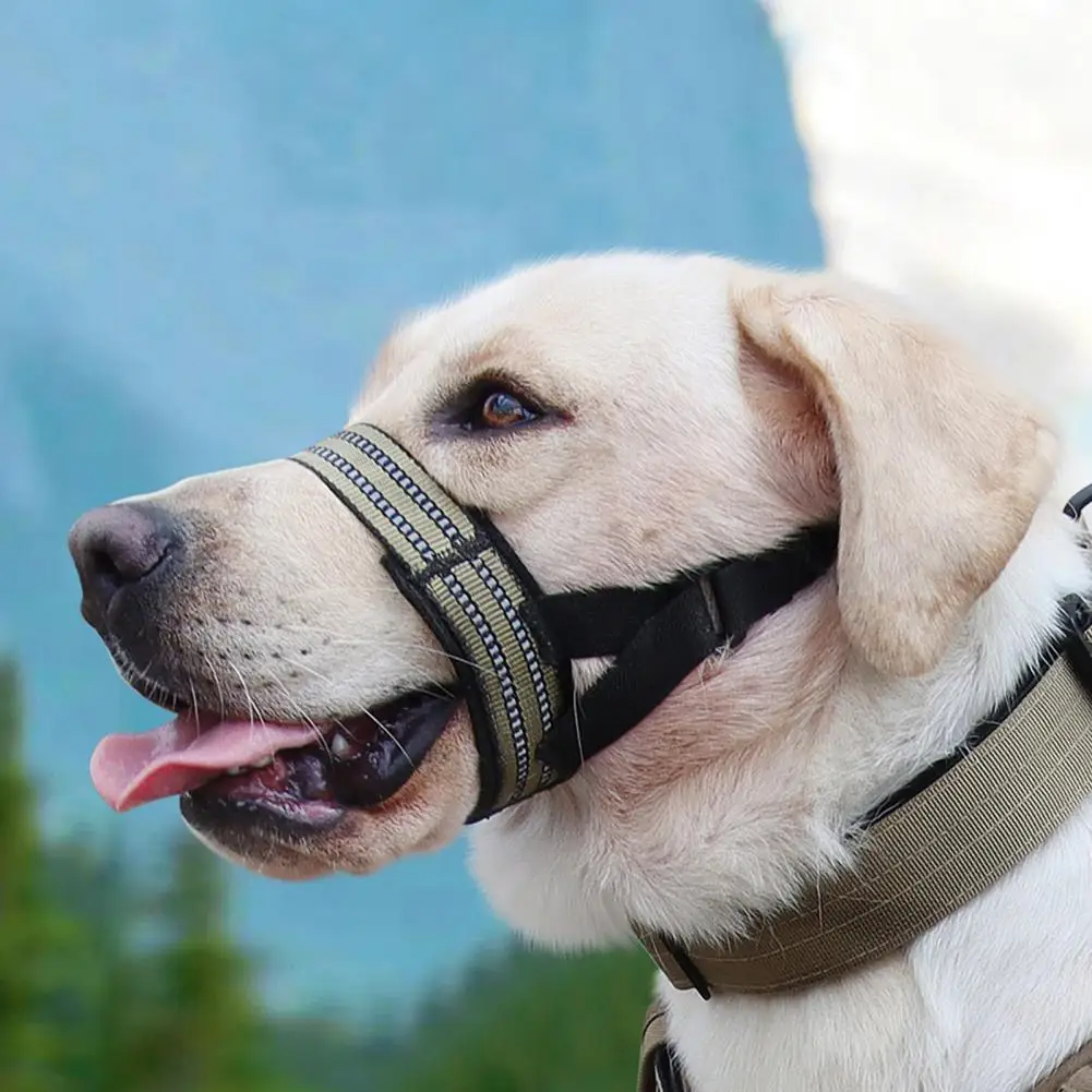 Быстросъемный намордник для собак Регулируемый светоотражающий поводок для собак Удобный недоуздок для прогулок на свежем воздухе с мягким носом для питья 5
