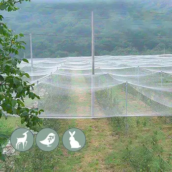 1x1-20M Специальные сетки для птиц для крупных ферм Защита фруктов и овощей Нейлоновые садовые барьеры Белые заборы для домашней птицы 3