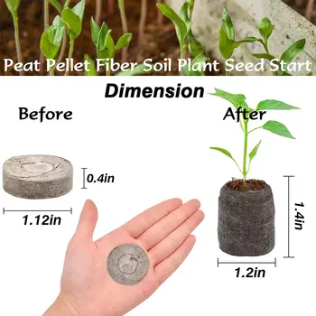 240 шт. 30 мм торфяная почва для растений заглушки для растений поддон для рассады почвенный блок, питательный блок для семян удобрений для цветов 3