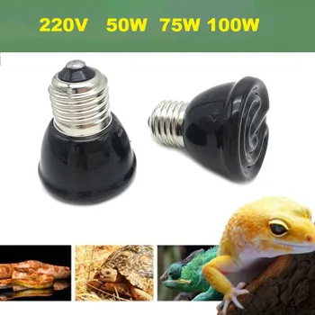 50 Вт 75 Вт 100 Вт E27 Pet Нагревательная лампа Черный инфракрасный керамический излучатель Тепловая лампа Pet Brooder Reptile Lamps 220V-240V