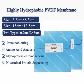Biosharp PVDF Переносная пленка Специальная мембрана Мембрана для переноса вестерн-блоттинга 0,2 мкм / 0,45 мкм