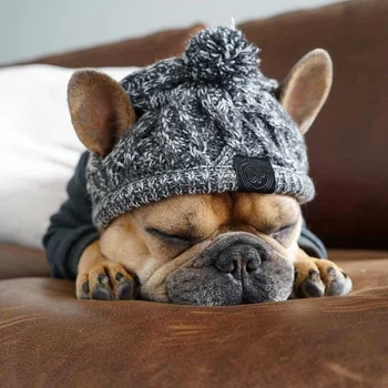 Зимняя модная собачья шапка Ветрозащитная пушистая вязаная полярная шапка с помпоном