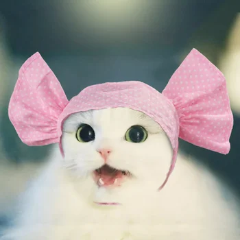 Новый головной убор в кошачьем стиле на японском и корейском языках ручной работы конфетный цвет забавный головной убор для домашних животных кроссдрессинг повязка на голову и шляпа