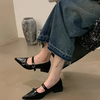  Осенние туфли с острым носком Женская обувь Мода с неглубокой пряжкой Женская элегантная кожаная обувь на низком каблуке в британском стиле