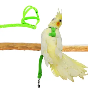  Регулируемая шлейка попугая и поводок Устойчивая к укусам латексная проволока / нейлон Птица Летающая тяга Ремни Ремень Стиль Ходячая Птица Веревка