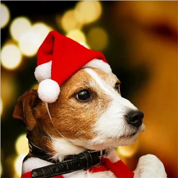 Рождественская шапка Аксессуары для собак Игрушки для кошек Косплей Рождественские украшения Ликвидация Одежда для собак