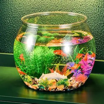  Чаша для аквариума Многофункциональный аквариум Акриловый прозрачный круглый аквариум для настольного мини-аквариума для гостиной 3